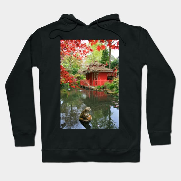 Frog Went a Courting Hoodie by RedHillDigital